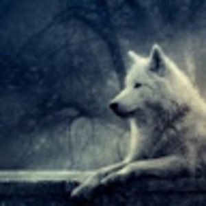 Meet your Posher, Rickey